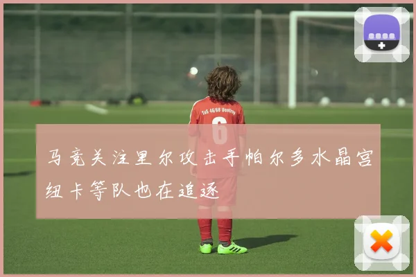 马竞关注里尔攻击手帕尔多水晶宫纽卡等队也在追逐